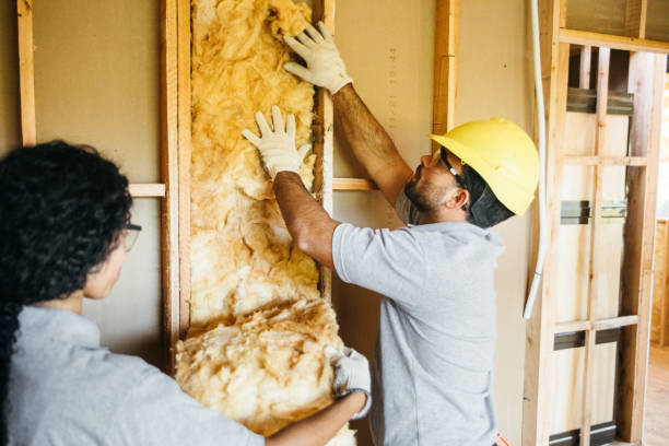 Types of Insulation We Offer in Wolfhurst, OH